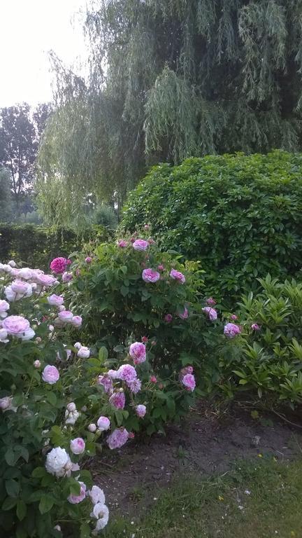 B&B Hier En Nu Heusden ภายนอก รูปภาพ
