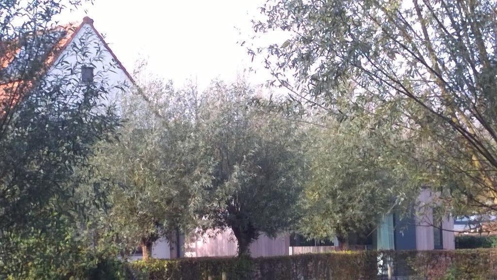 B&B Hier En Nu Heusden ภายนอก รูปภาพ